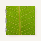 Springtime Notizblock (Vorderseite)