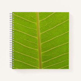 Springtime Notizblock