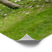 Springtime Poster (Ecke)