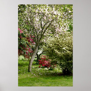 Springtime Poster