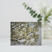 Springtime Postkarte (Stehend Vorderseite)