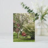 Springtime Postkarte (Stehend Vorderseite)