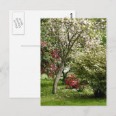 Springtime Postkarte (Vorne/Hinten)