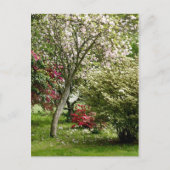 Springtime Postkarte (Vorderseite)