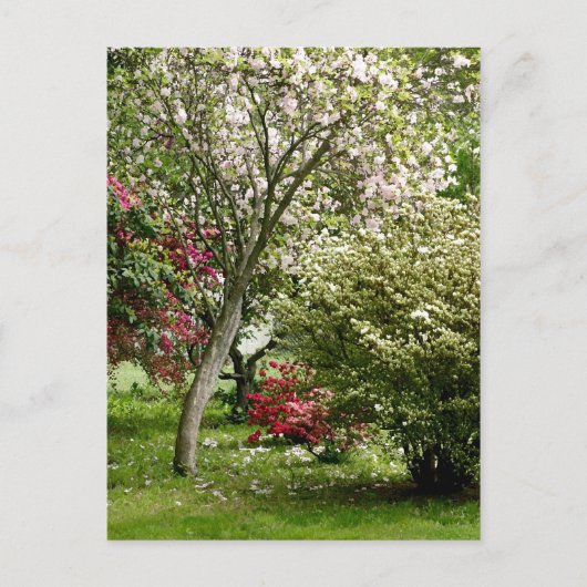 Springtime Postkarte (Vorderseite)