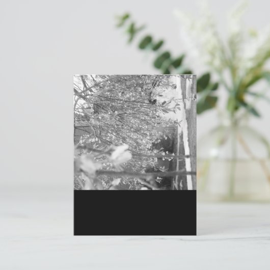 Springtime Postkarte (Stehend Vorderseite)