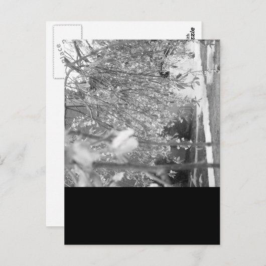 Springtime Postkarte (Vorne/Hinten)