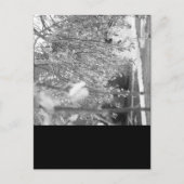 Springtime Postkarte (Vorderseite)