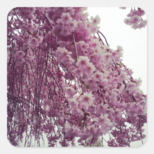 Springtime Quadratischer Aufkleber (Vorderseite)