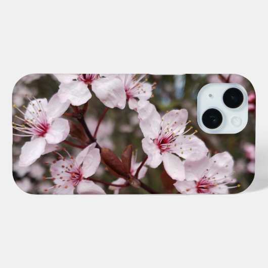 Springtime Sakura Case-Mate iPhone Hülle (Rückseite (Horizontal))