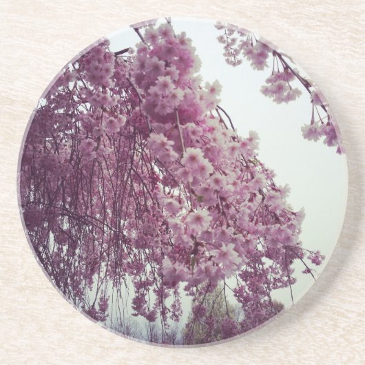 Springtime Sandstein Untersetzer (Vorne)