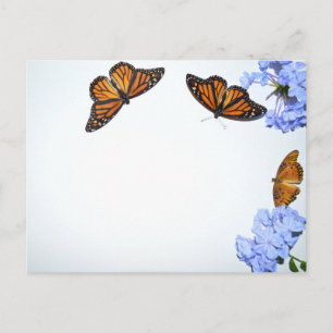Springtime-Schmetterlinge Postkarte