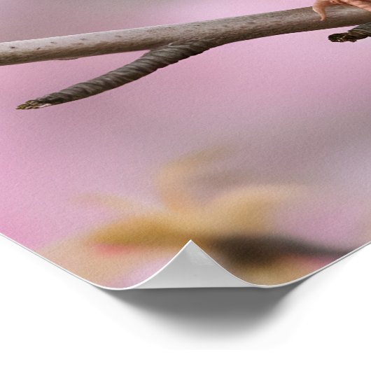 Springtime Serenity: Niedlicher Sparrow Poster (Ecke)