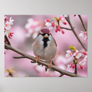 Springtime Serenity: Niedlicher Sparrow Poster