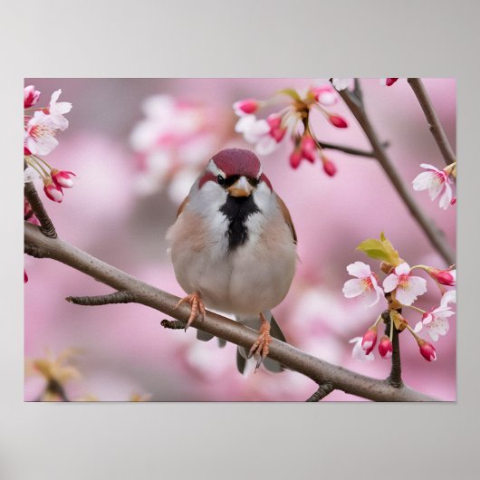 Springtime Serenity: Niedlicher Sparrow Poster (Vorne)