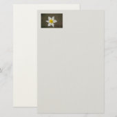 Springtime Stationery Briefpapier (Vorne/Hinten)