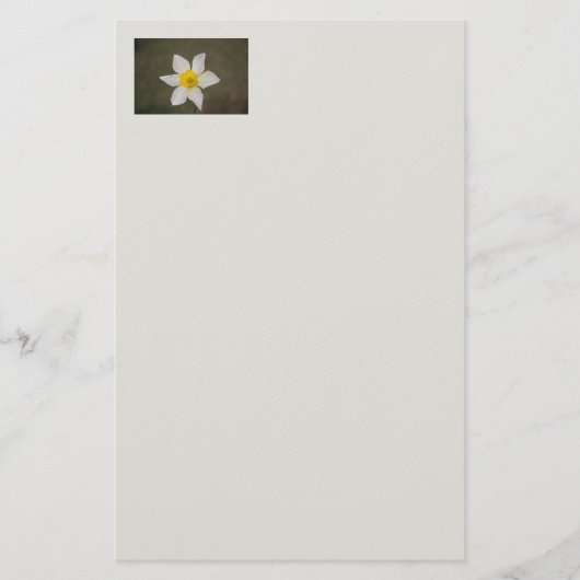 Springtime Stationery Briefpapier (Vorderseite)