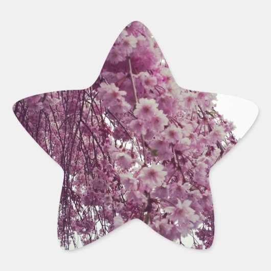 Springtime Stern-Aufkleber (Vorderseite)