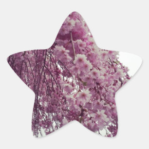 Springtime Stern-Aufkleber