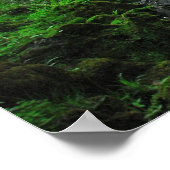 Springtime-Stream Poster (Ecke)