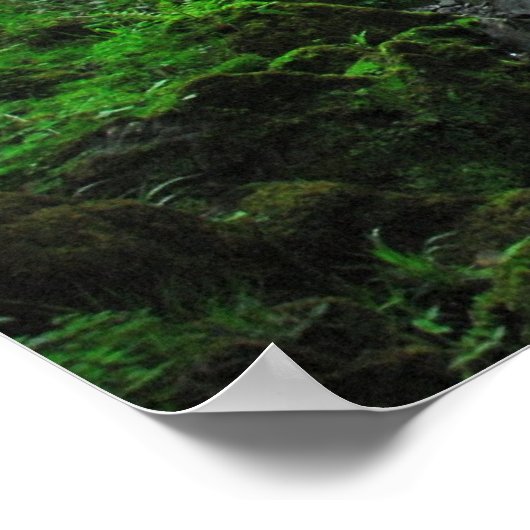 Springtime-Stream Poster (Ecke)