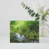 Springtime-Stream Postkarte (Stehend Vorderseite)