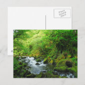Springtime-Stream Postkarte (Vorne/Hinten)