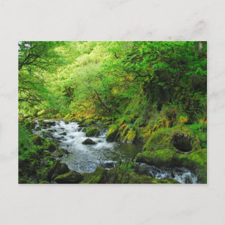 Springtime-Stream Postkarte
