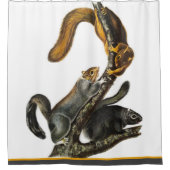 Springtime Three Happy Eichirrels Duschvorhang (Vorderseite)