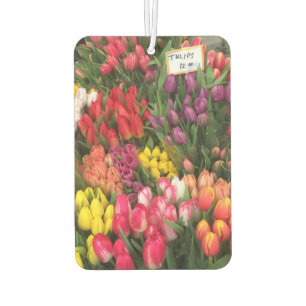 Springtime Tulips Tulip Blume NYC New York Autolufterfrischer