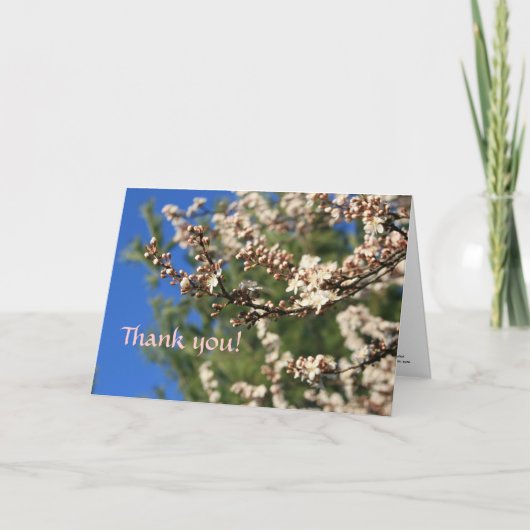 Springtime Vielen Dank Dankeskarte (Vorderseite)