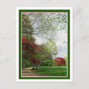Springtime-Wanderweg Postkarte