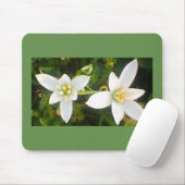 Springtime Weiße Blüten Mousepad (Mit Mouse)
