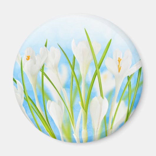 Springtime (weiße Kreuze) Magnet (Vorne)
