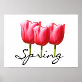 Springy Tulips Poster (Vorne)