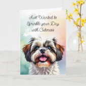 Sprinkle deinen Tag mit Geschmeidigkeit | Shih Tzu Karte (Gelbe Blume)