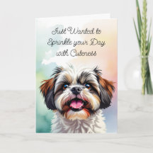 Sprinkle deinen Tag mit Geschmeidigkeit | Shih Tzu