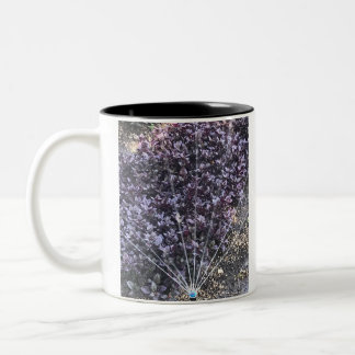 Sprinkler-Tasse Zweifarbige Tasse