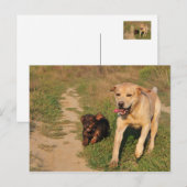 Sprint Fun Labrador und Dachhund Postcard Postkarte (Vorne/Hinten)