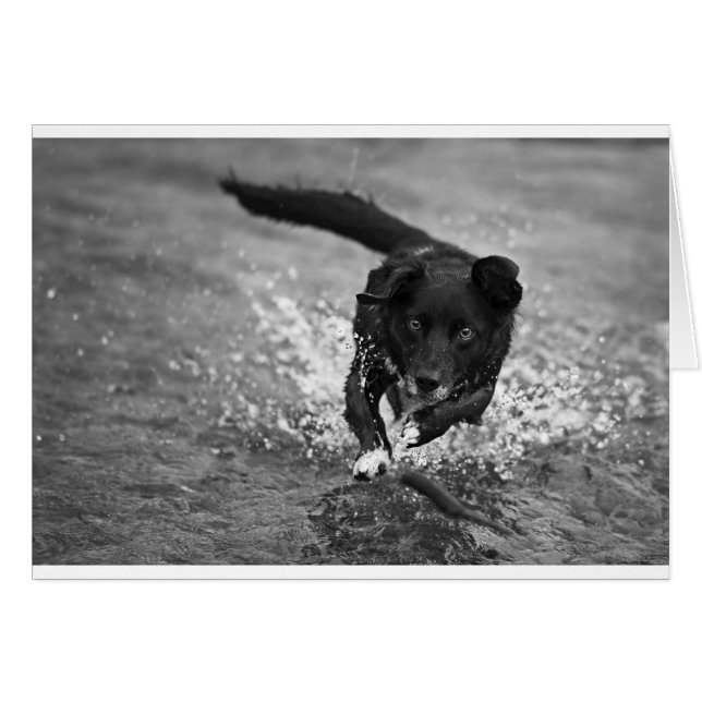 Spritzen (Vorderseite (Horizontal))