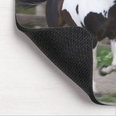 Spritzen der Farben-Pferdebetrieb Mousepad (Ecke)