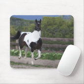 Spritzen der Farben-Pferdebetrieb Mousepad (Mit Mouse)