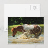 Spritzen Postkarte (Vorne/Hinten)