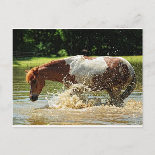 Spritzen Postkarte (Vorderseite)