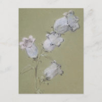 Spritzen von Canterbury Bells Postcard
