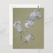 Spritzen von Canterbury Bells Postcard Postkarte (Vorne/Hinten)