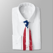Spritzer bemalt Flagge der USA Krawatte (Gebunden)