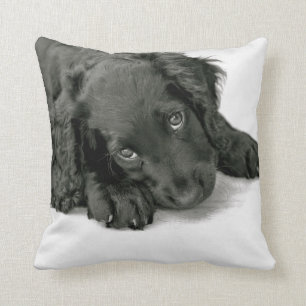 Sprocker Spaniel Dave Kissen