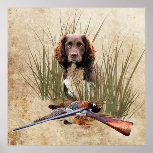 Sprocker Spanisch Tapestry Poster Triptych Acrylic (Vorne)