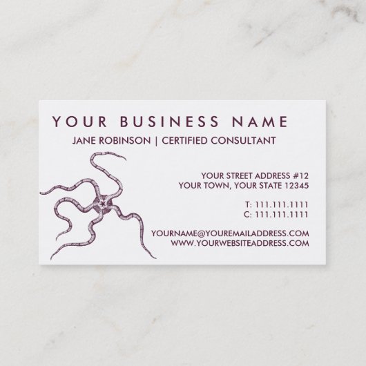 Spröder Stern - Schlangen-Stern - Marinebiologie Visitenkarte (Rückseite)